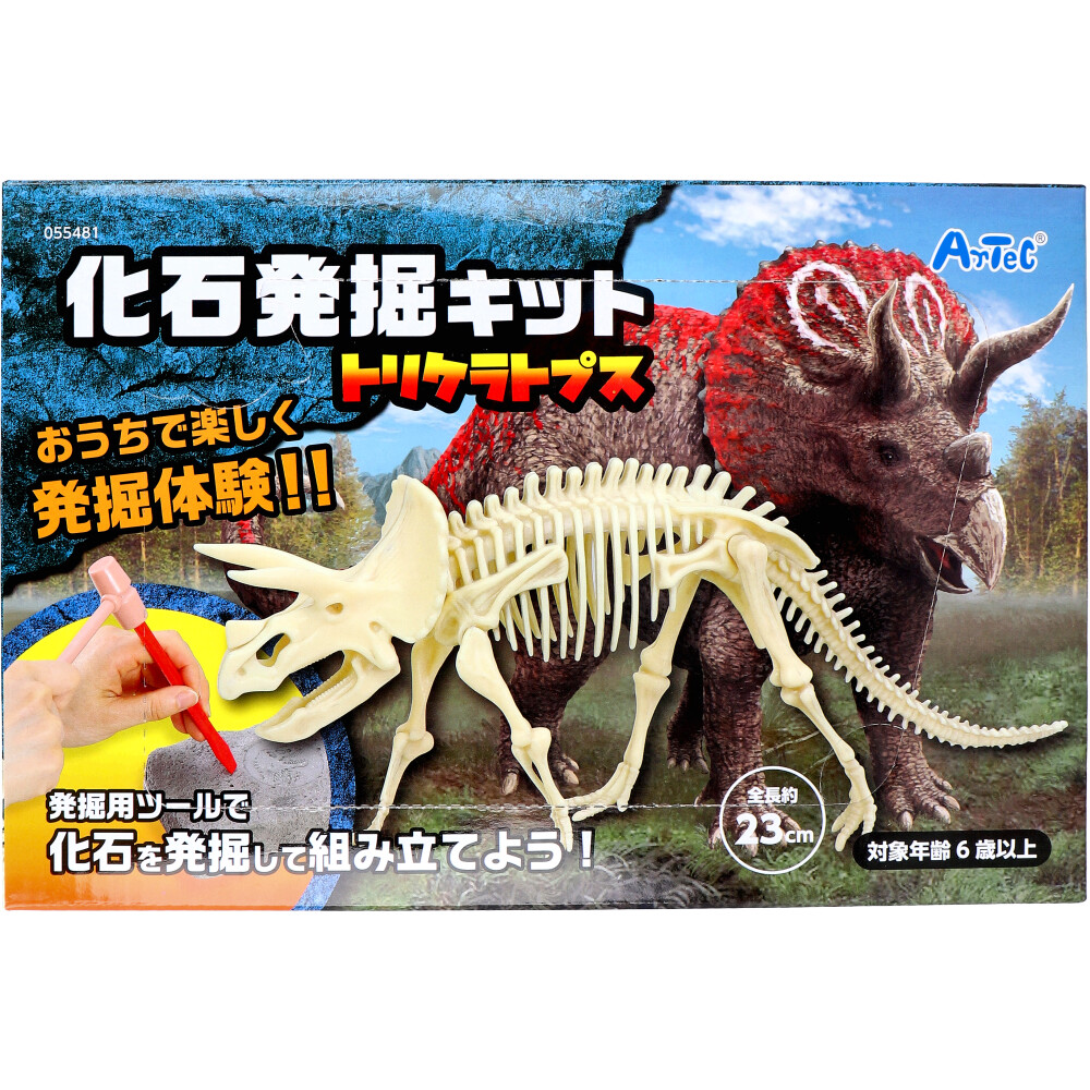化石発掘キット トリケラトプス 1セット