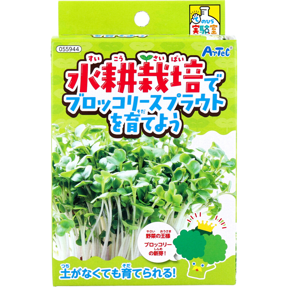 てのひら実験室 水耕栽培でブロッコリースプラウトを育てよう 1セット