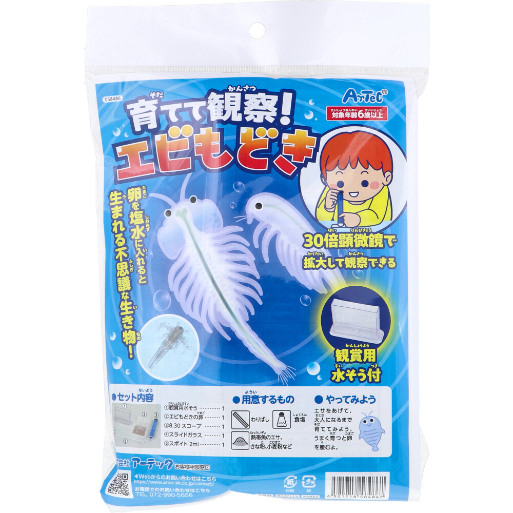 育てて観察！エビもどき 観賞用水そう付 1セット