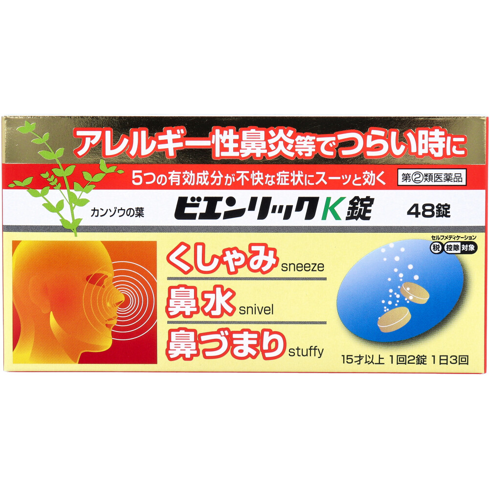 【第(2)類医薬品】ビエンリックK錠 48錠入