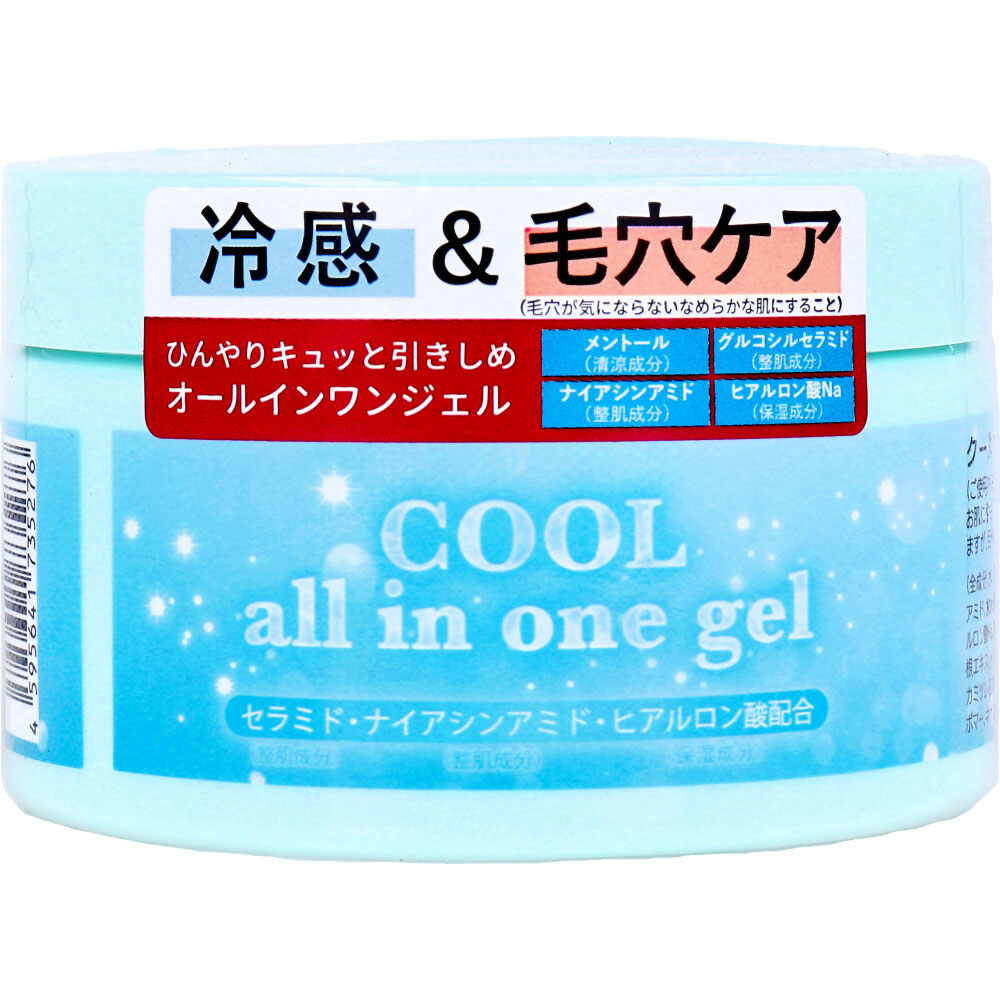 クールオールインワンゲル 280g