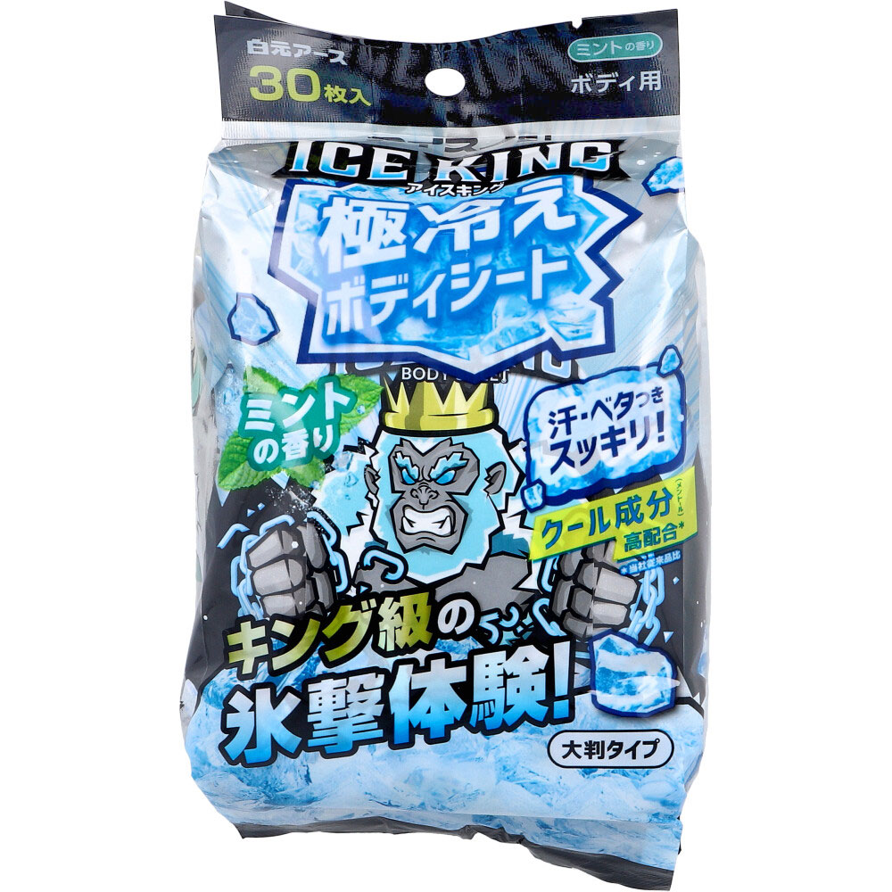アイスノン ICE KING(アイスキング) 極冷えボディシート 大判タイプ ミントの香り 30枚入